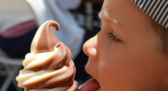 The Role of Saliva