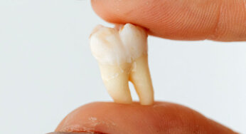 Baby Teeth Traditions of the World